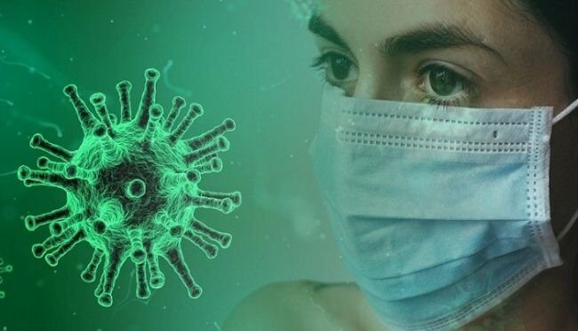 688c378cf1430f60f09365285c667-1